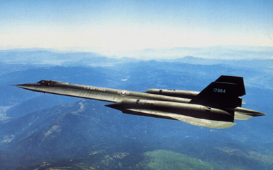 Blackbird
